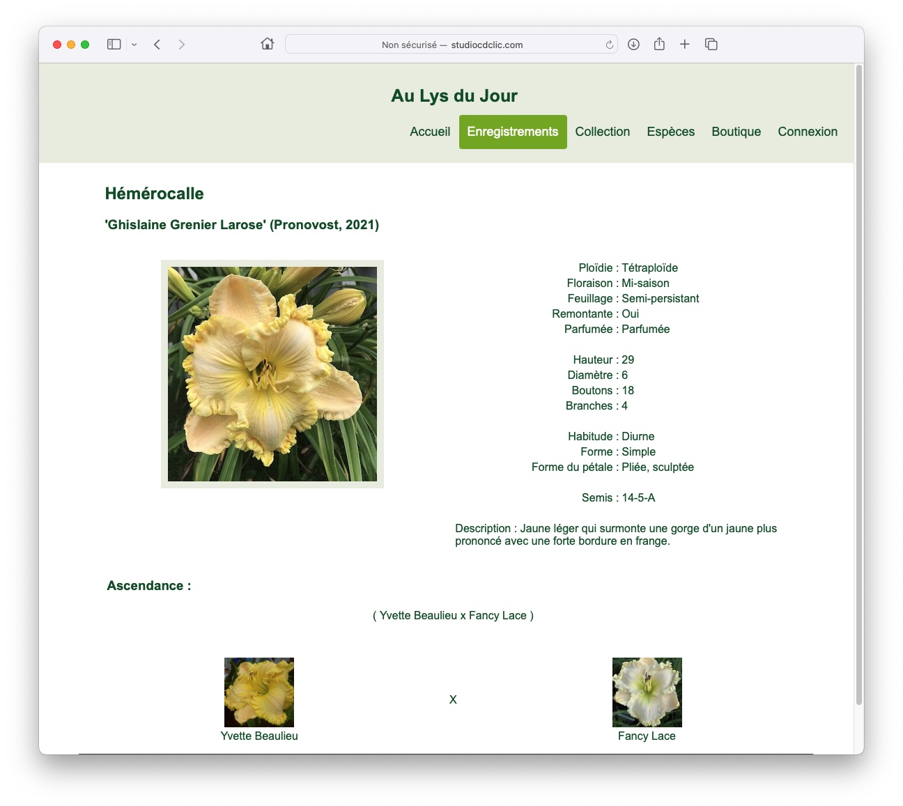 Hemeroapp01.jpg