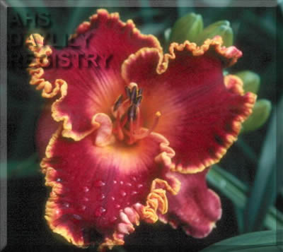 ph144346.jpg