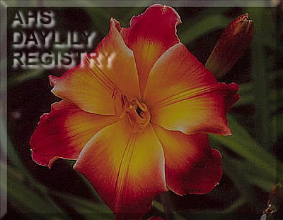 ph154555.jpg