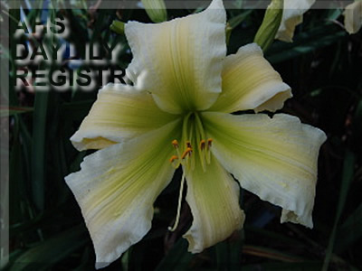 ph155644.jpg