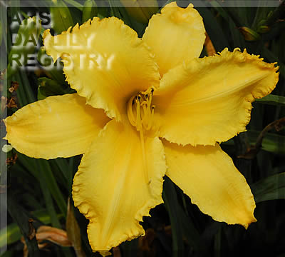 ph157887.jpg