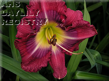 ph93823.jpg